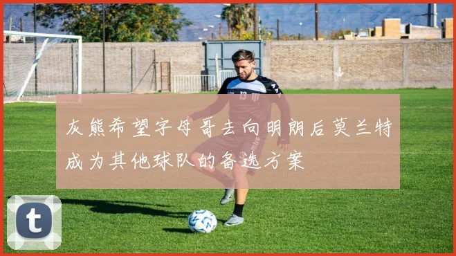 灰熊希望字母哥去向明朗后莫兰特成为其他球队的备选方案
