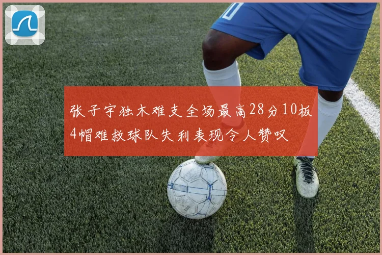 张子宇独木难支全场最高28分10板4帽难救球队失利表现令人赞叹